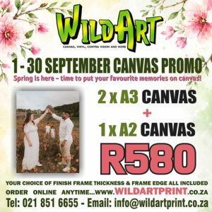 Combo Canvas 5